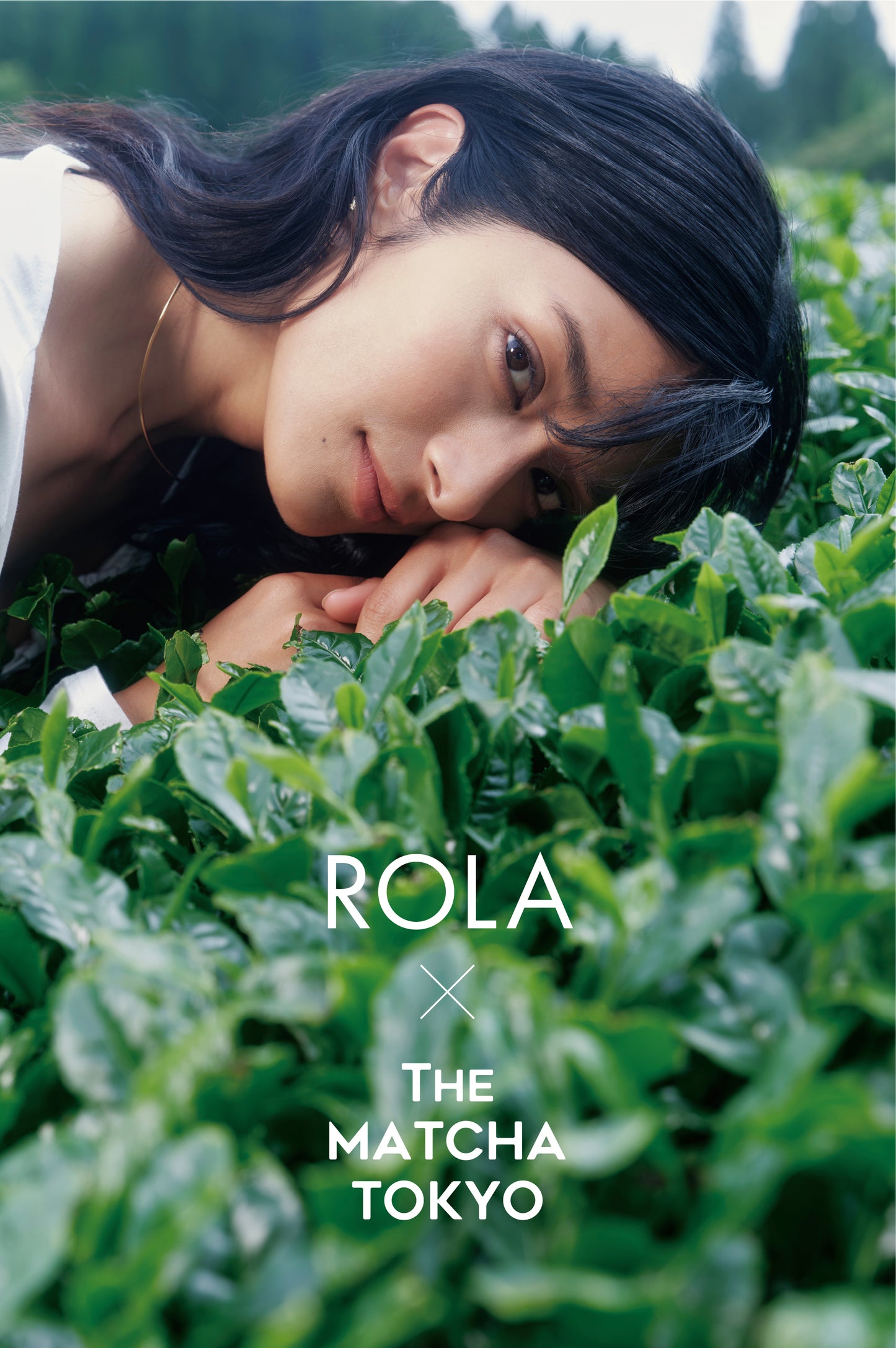 THE MATCHA TOKYO ONLINE STORE